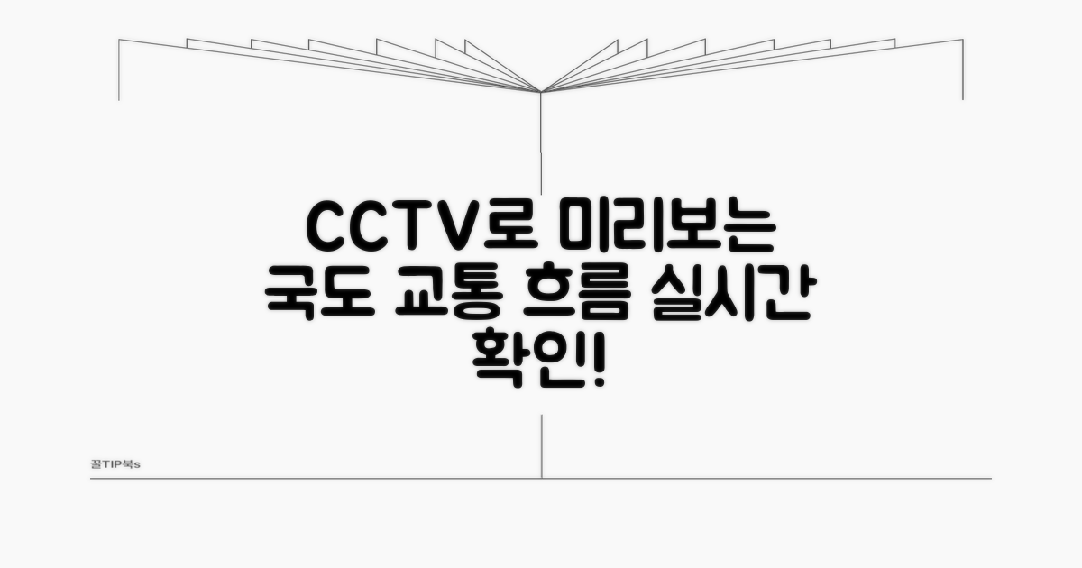 국도 교통 흐름, CCTV로 미리 보자