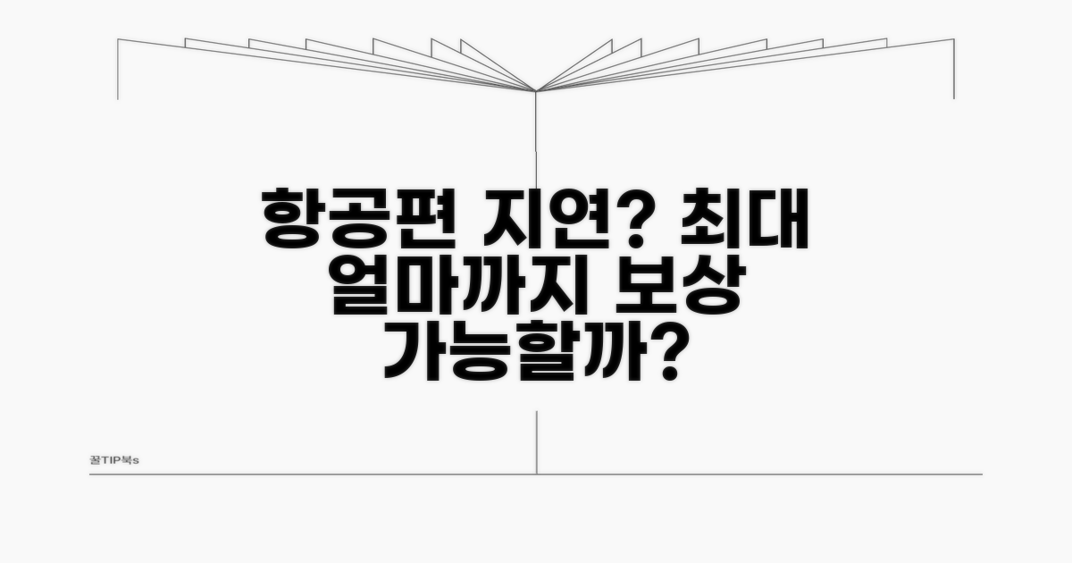 항공기 지연, 얼마까지 받을 수 있나요?