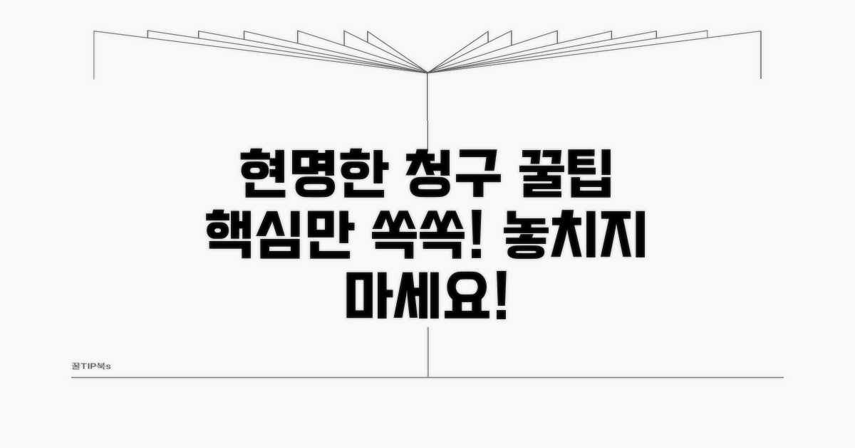 현명한 청구, 꿀팁 가이드