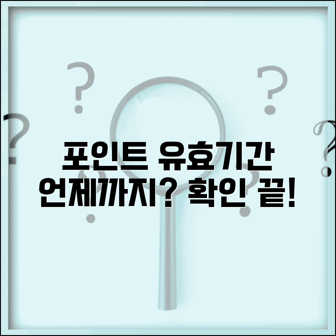 포인트 이용기간 | 적립 포인트 유효 기간 완벽정리