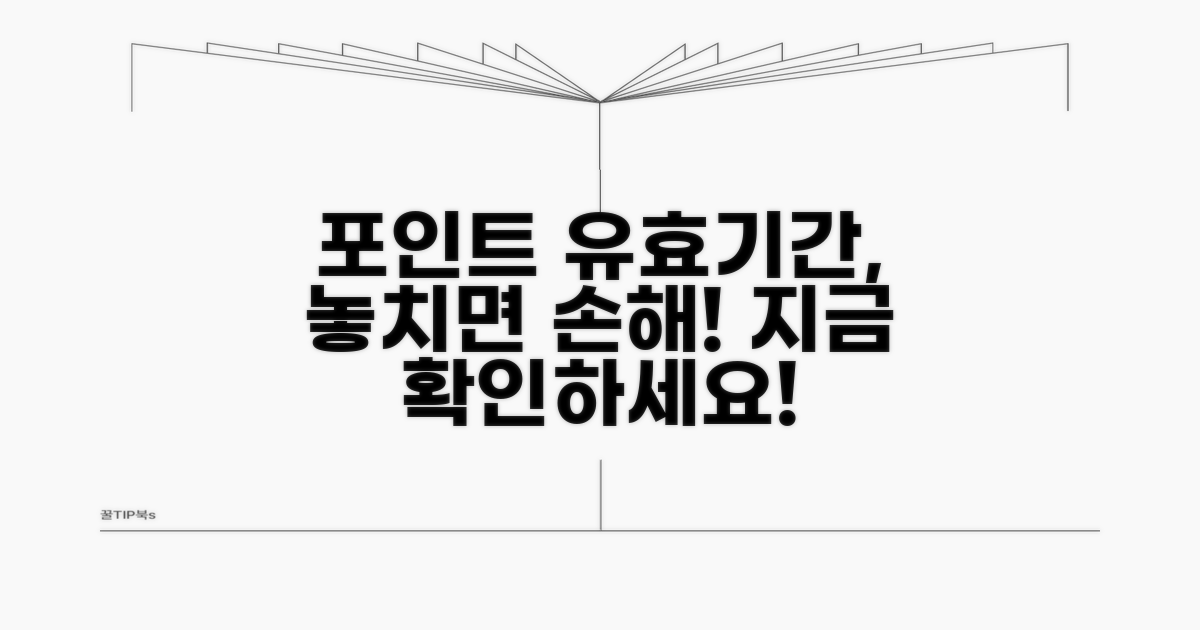 적립 포인트 유효 기간 상세 분석