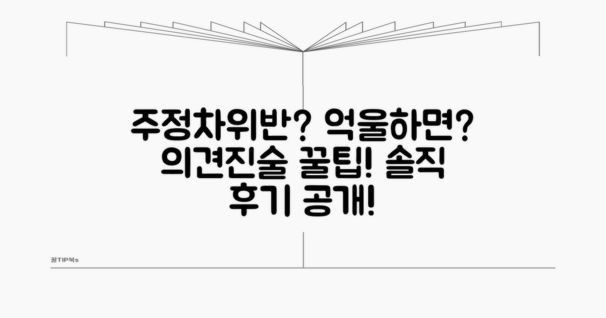주정차위반 의견진술 후기