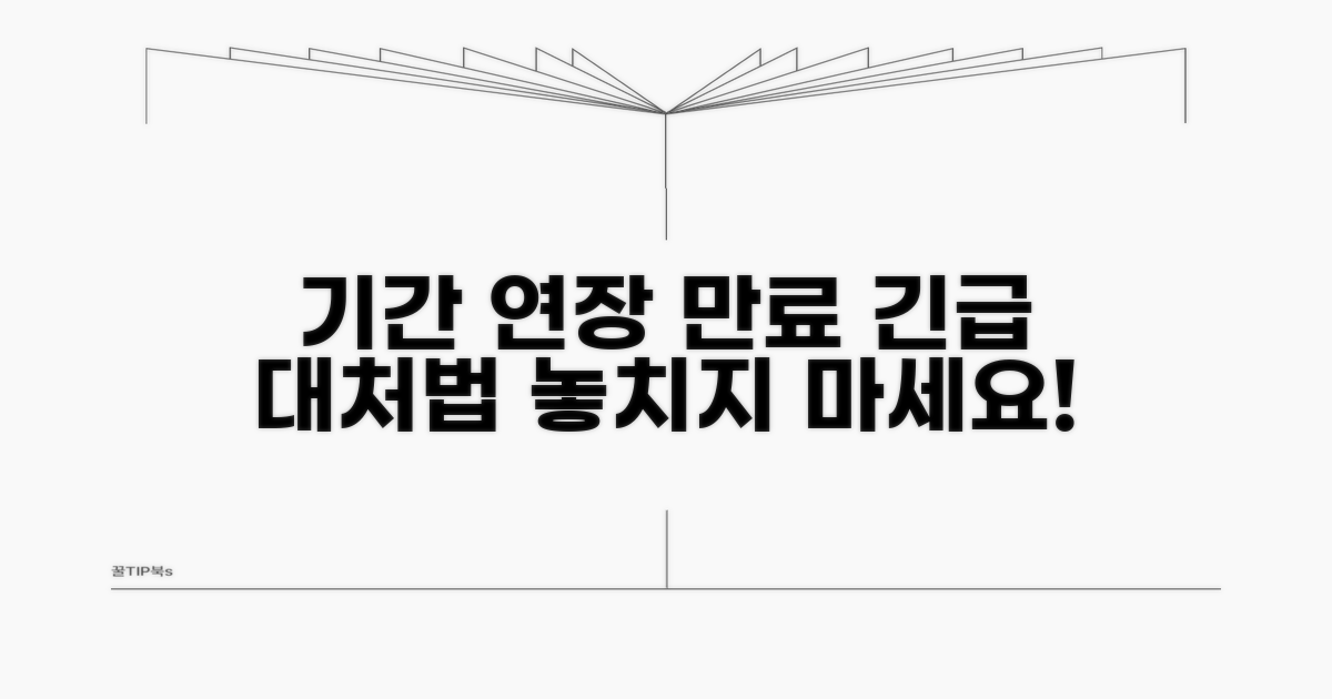 기간 연장 및 만료 시 대처 방법
