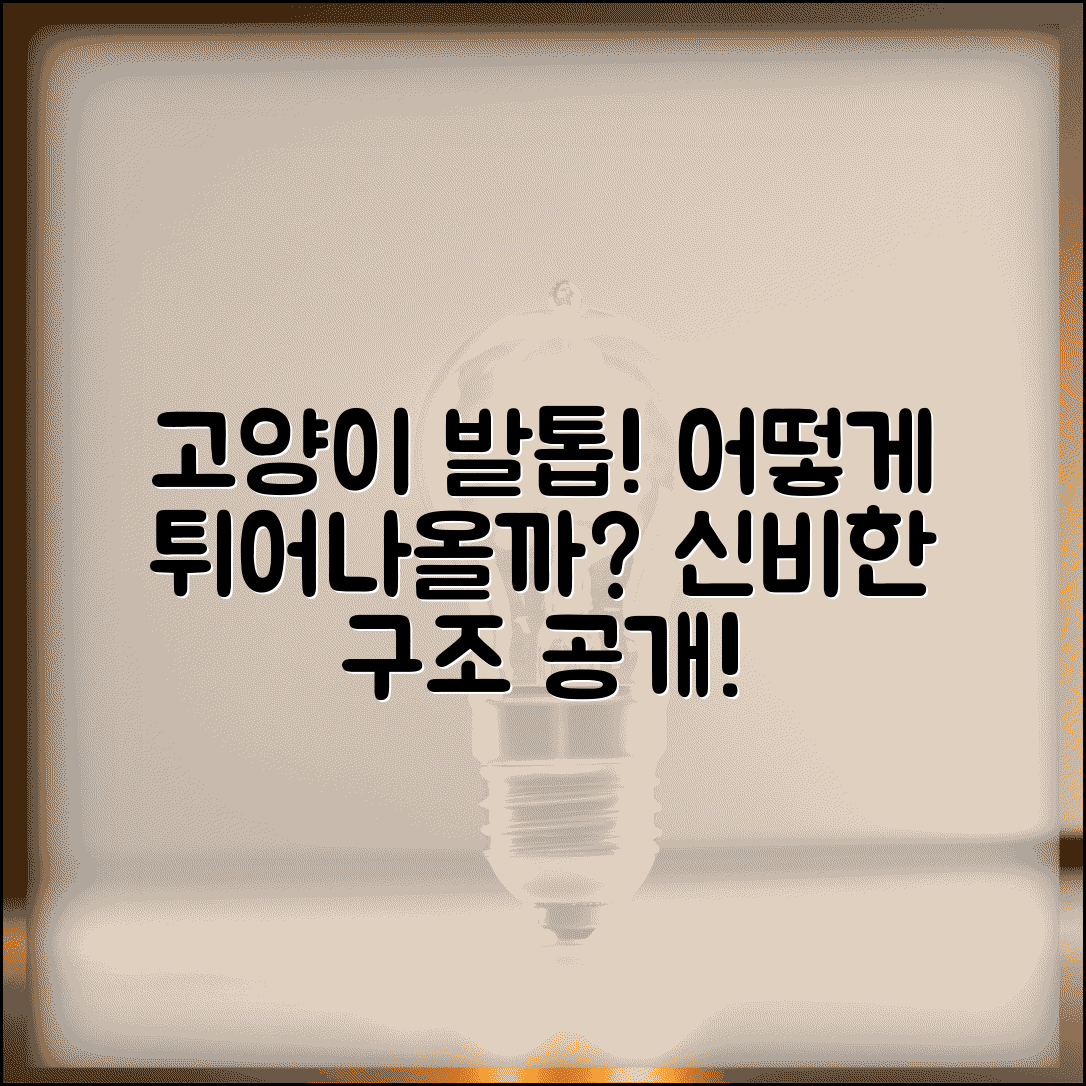 고양이 발톱 나오고 들어가는 원리가 뭔가요 | 고양이 발톱 | 신축성 | 구조