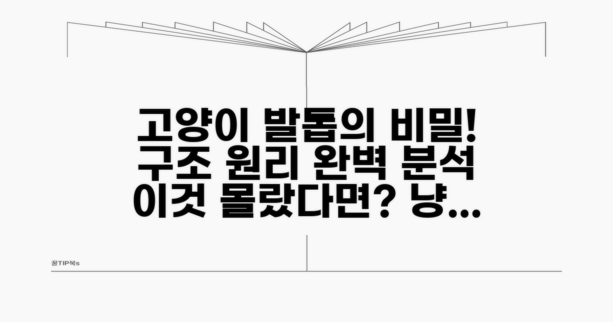 고양이 발톱 구조와 원리