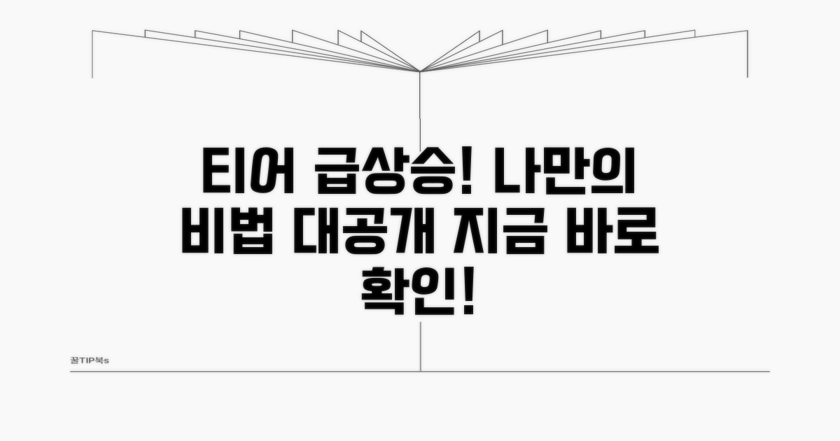 나만의 티어 올리는 비법