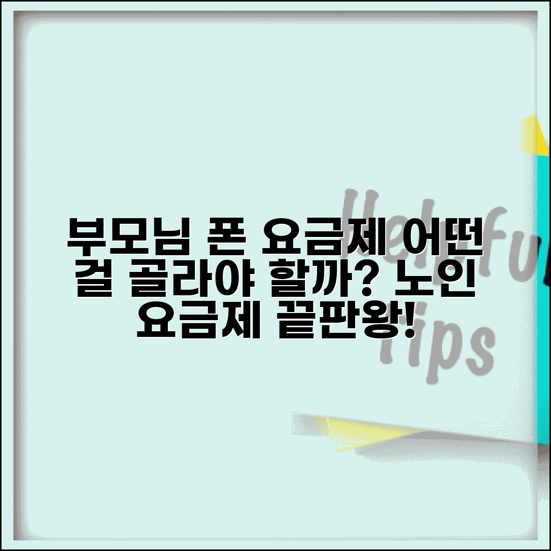 부모님 휴대폰 요금제 어떤걸 해드려야 하나요 | 노인 요금제 | 휴대폰 | 선택