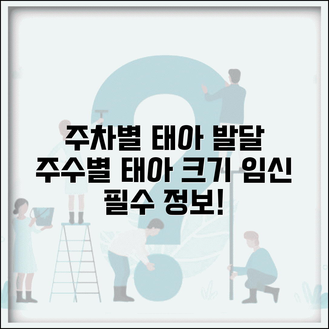 임신 주차별 태아 발달표 | 임신 주수별 태아 크기