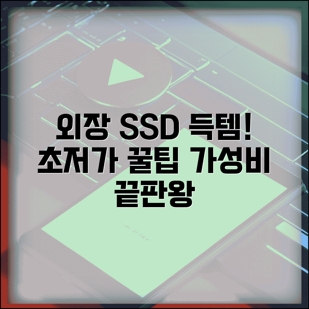 저렴하게 외장 SSD 구매 팁 | 브랜드별 가격 비교 및 할인 정보