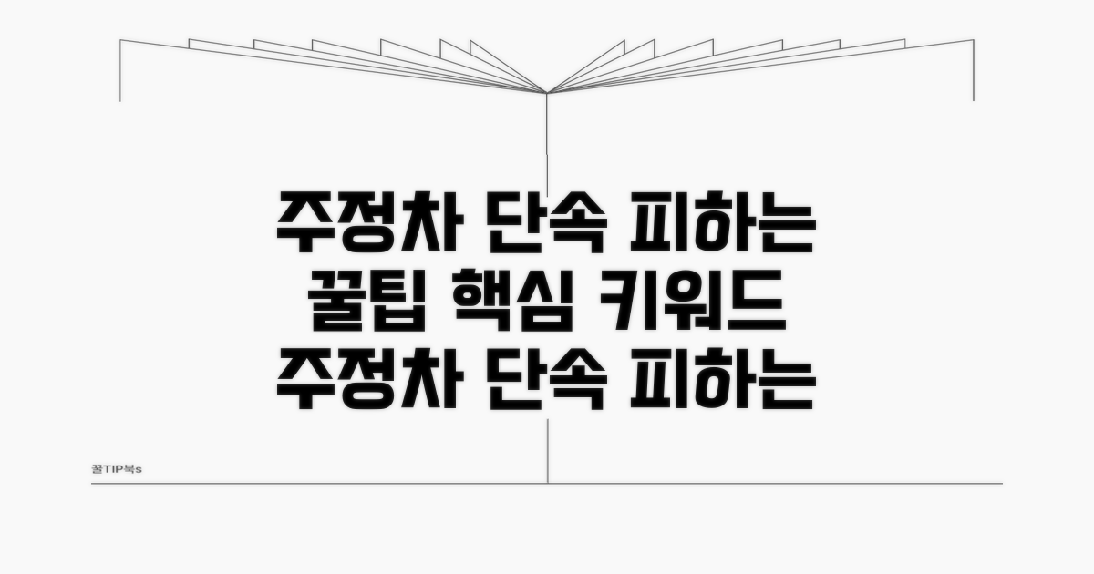 주정차 단속 피하는 꿀팁