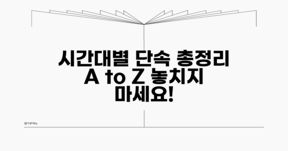시간대별 단속 여부 총정리