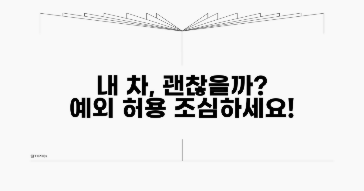 내 차는 괜찮을까? 예외 허용 상황