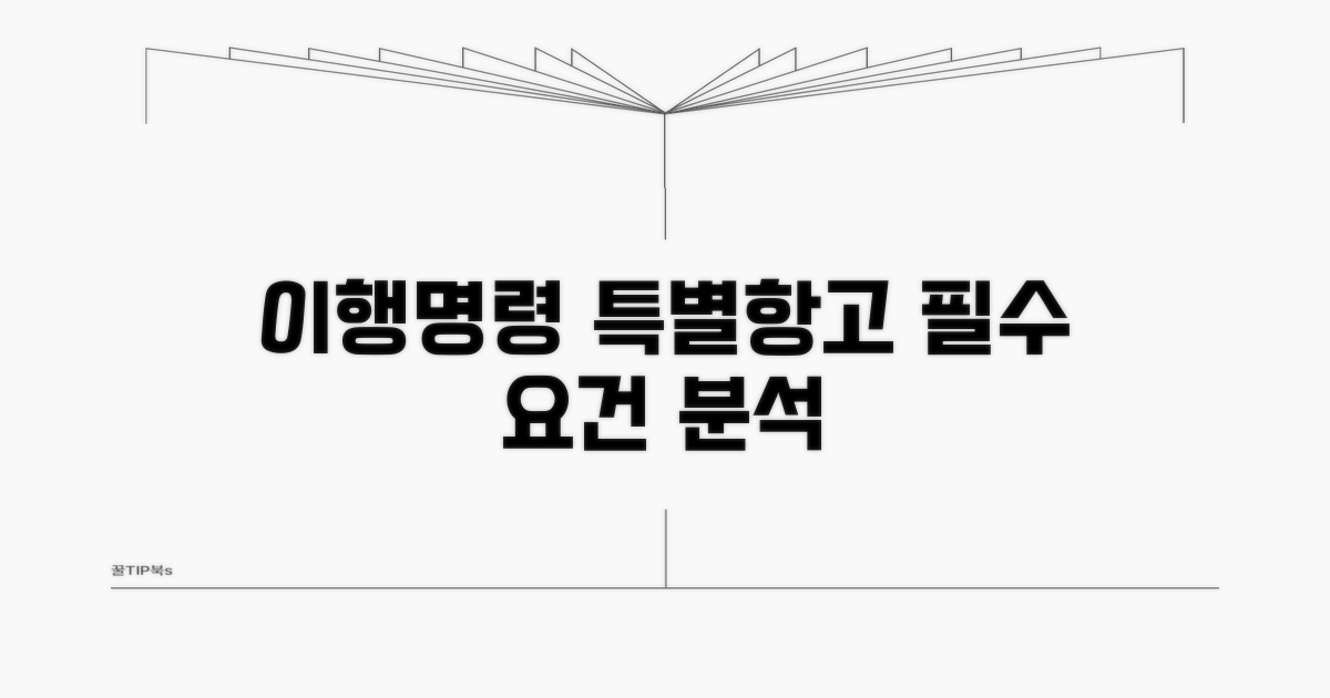 이행명령 특별항고 요건 분석