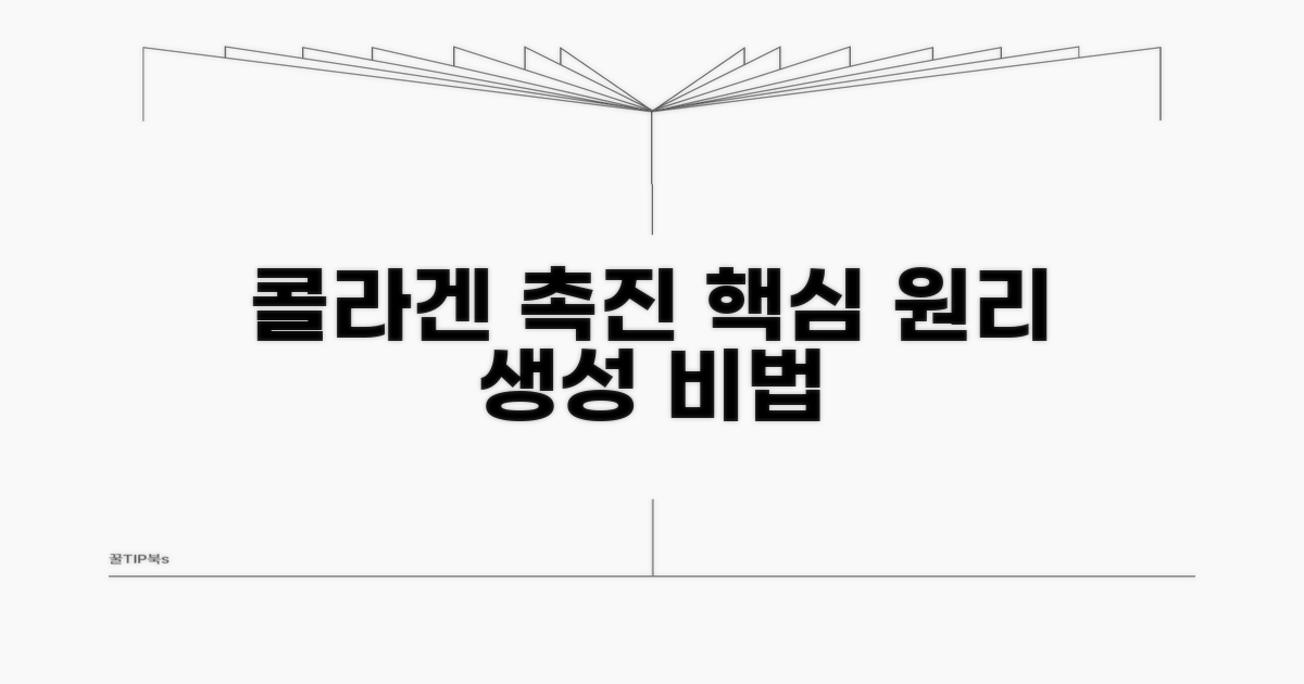 콜라겐 촉진 핵심 원리