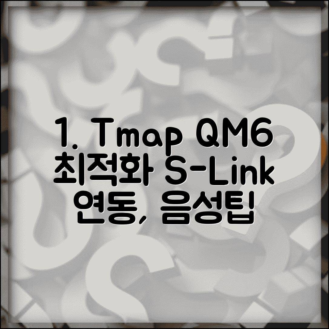 티맵 qm6네비게이션 최적화 설정 | S-Link 시스템 연동 | 음성 인식 활용 팁