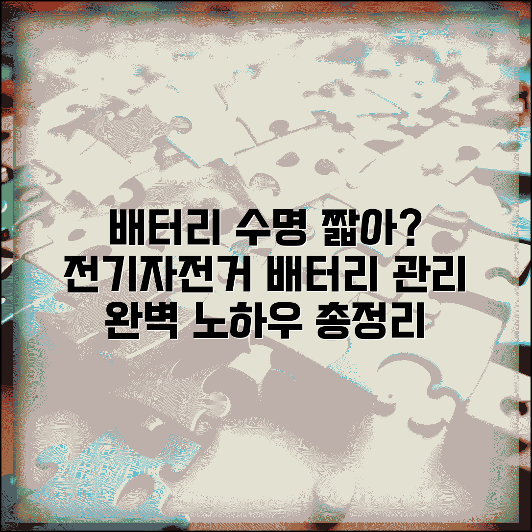 전기자전거 배터리 수명 짧음 | 전기자전거 배터리 관리