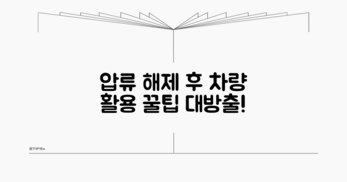 압류 해제 후 차량 활용 꿀팁