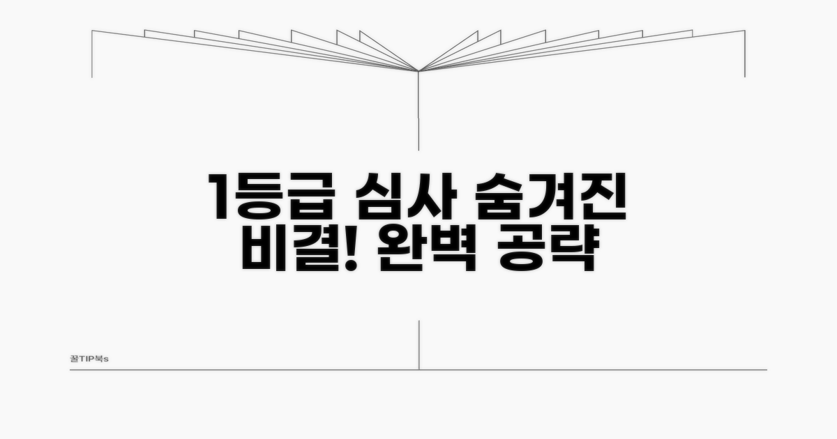 숨겨진 1등급 심사 기준 파헤치기