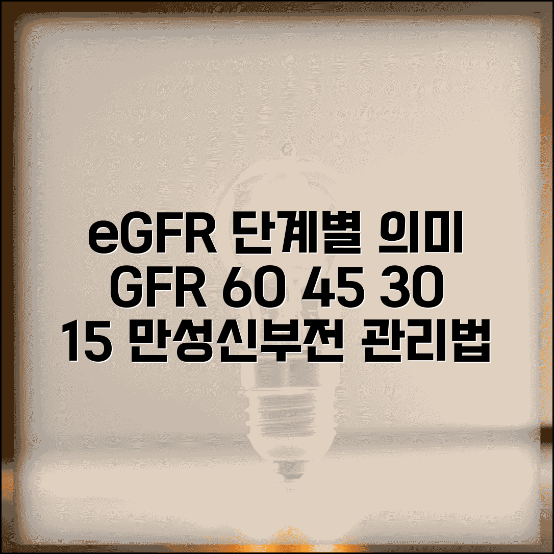 사구체여과율 eGFR 단계별 의미 총정리 | GFR 60 45 30 15 만성신부전 단계별 증상과 관리법