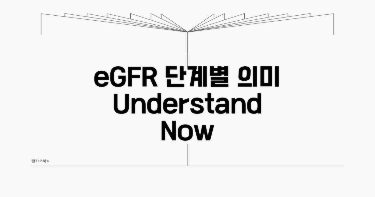 eGFR 단계별 의미 알기