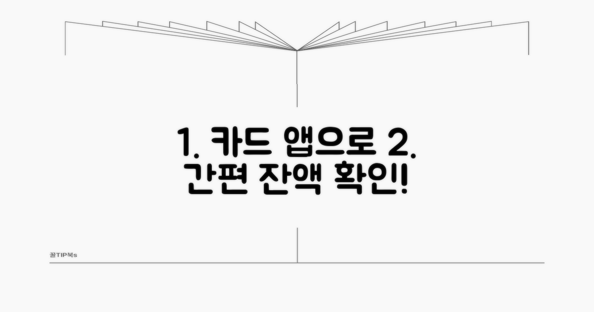 카드 앱 통한 잔액 확인 방법