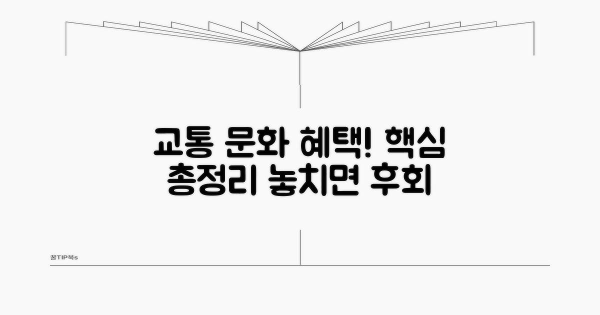 교통 및 문화 혜택 총정리