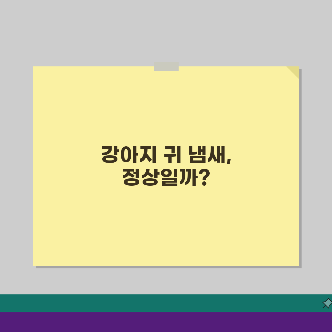 강아지 귀 냄새 심한데 병원 가야 하나요? 외이염 감염 원인과 해결책 (28자)
