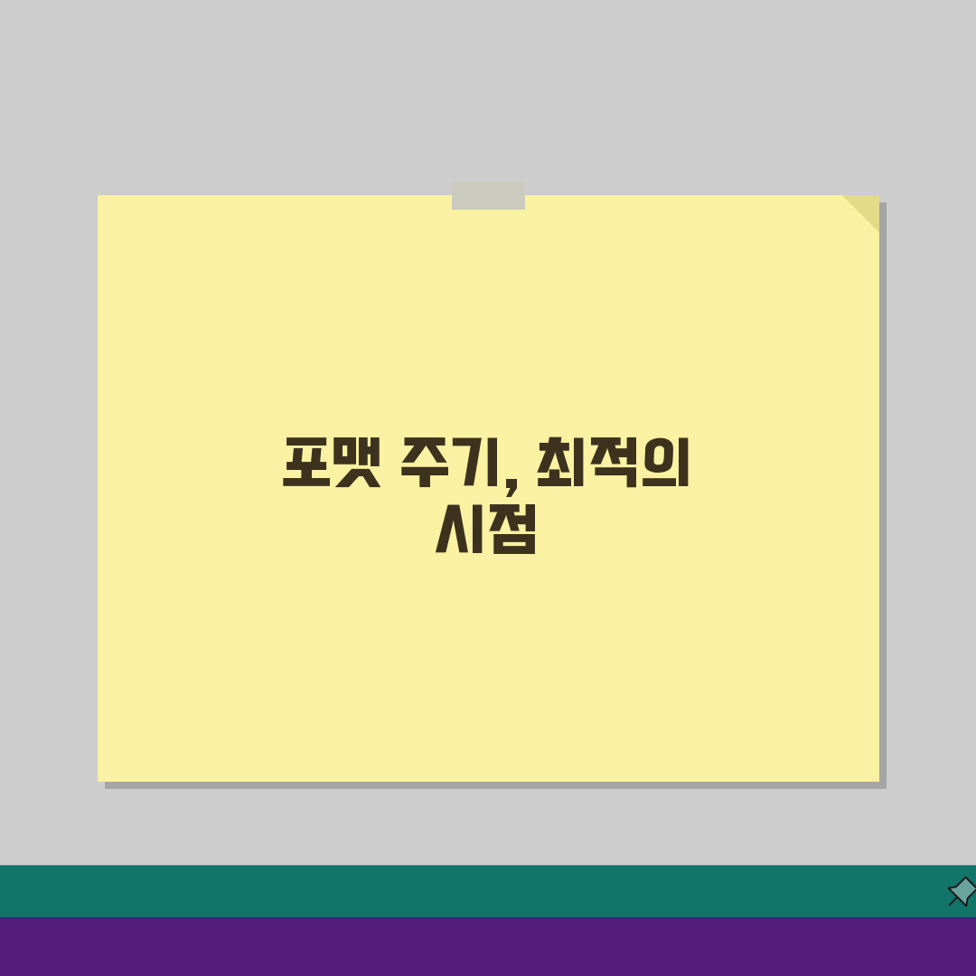 컴퓨터 포맷 주기 몇 년마다? PC 초기화 효과와 최적 시기 공개