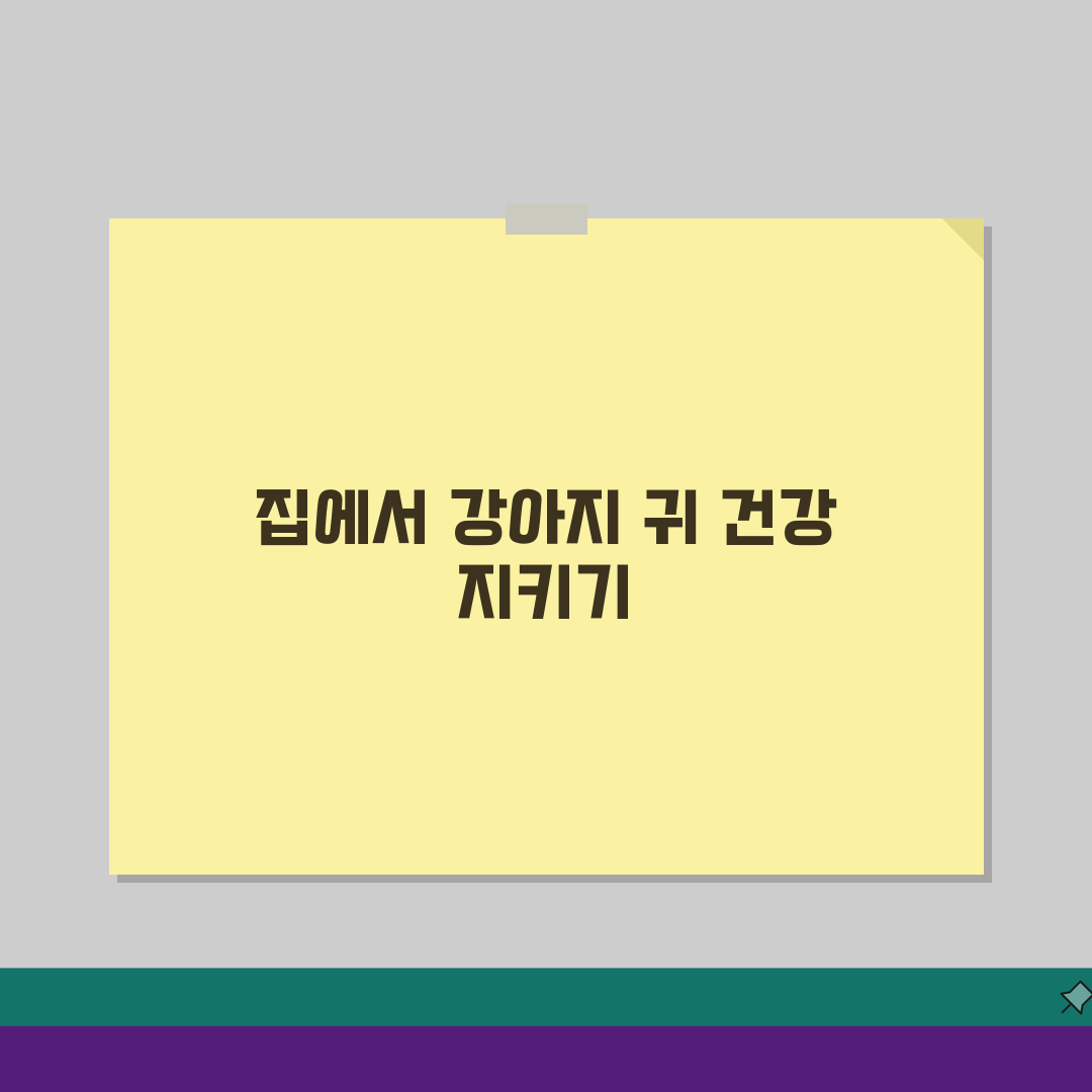 강아지 귀 냄새 심한데 병원 가야 하나요? 외이염 감염 원인과 해결책 (28자)