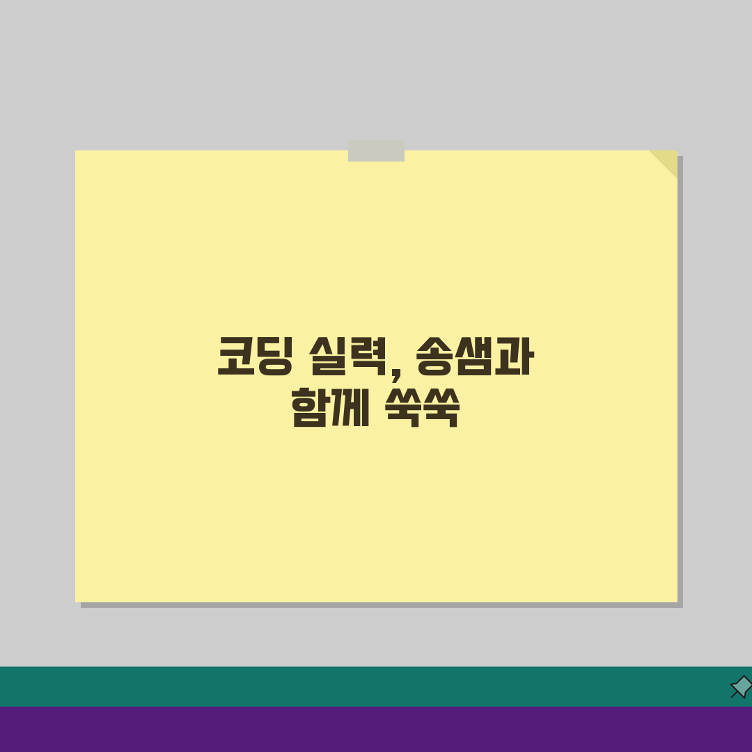 울산 방어 송샘컴퓨터: IT 교육과정, 코딩 커리큘럼부터 취업정보까지 A to Z (수강료