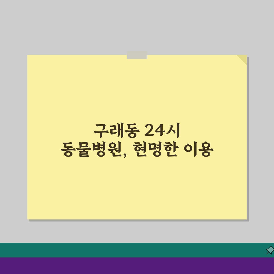 김포 구래동 24시간 동물병원 추천, 응급진료부터 야간수술까지!